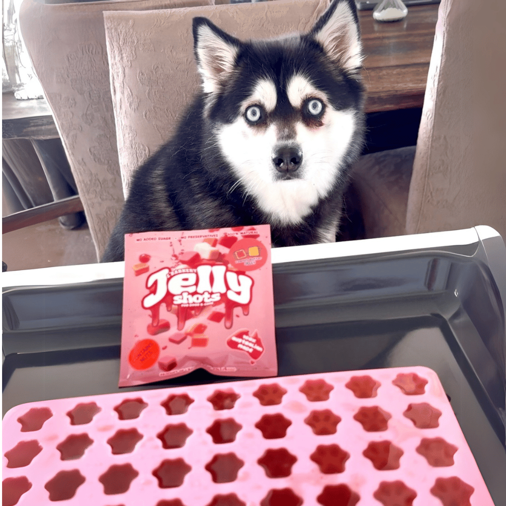 L'Barkery Jelly Shots - Peanut Butter n Jam