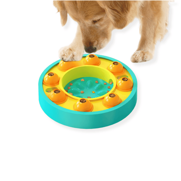 Wheel Slow Feeder Dog Puzzle
