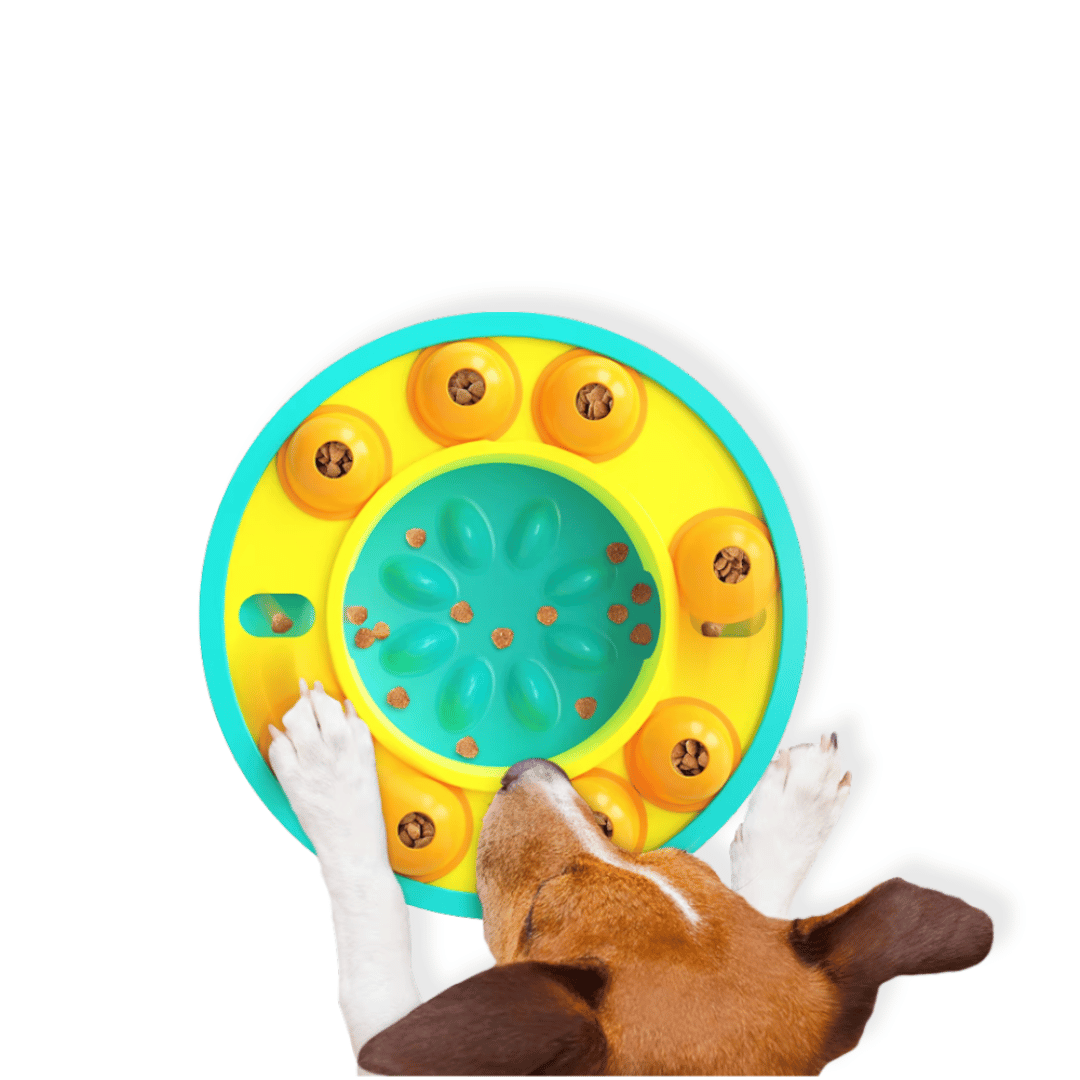 Wheel Slow Feeder Dog Puzzle