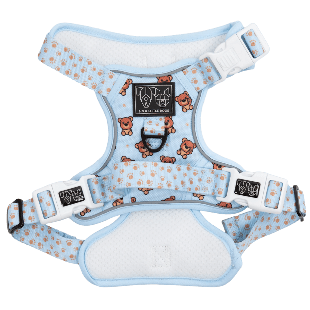 Big & Little Dogs All Rounder Harness: Cuddle Club - All Rounder Harnesses from Big & Little Dogs at DoggyTopia
