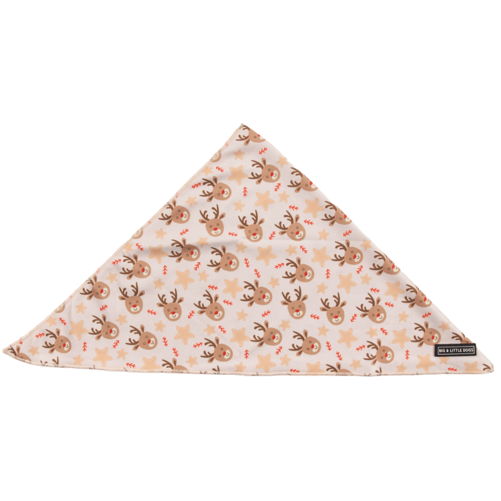 Big & Little Dogs Dashing Through The Stars Dog Bandana - Bandanas from Sale at DoggyTopia
