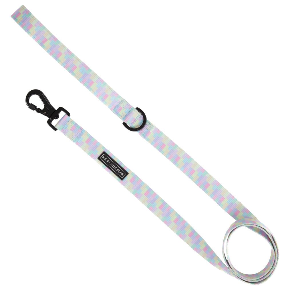 Big & Little Dogs Gelato Dog Leash - Leashes & Leads from Big & Little Dogs at DoggyTopia