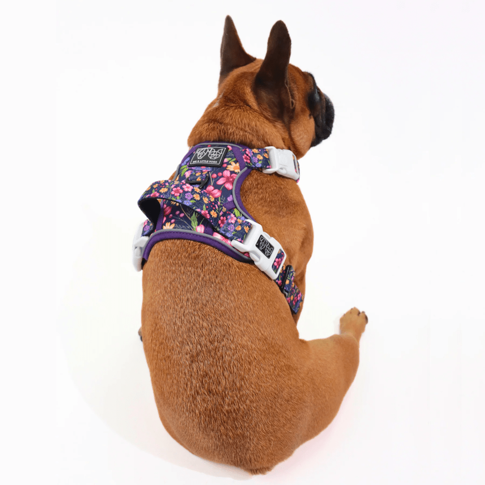 Big & Little Dogs Petal Paradise All Rounder Harness - All Rounder Harnesses from Sale at DoggyTopia
