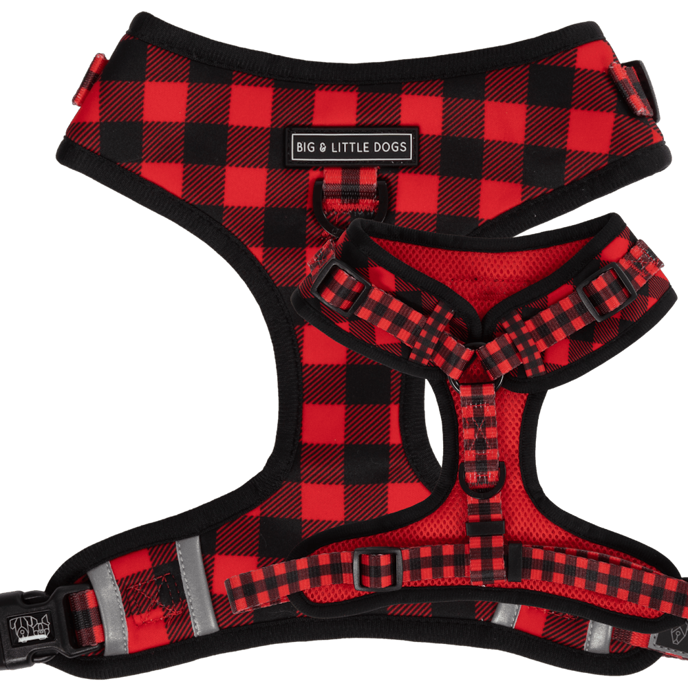 Big & Little Dogs Plaid to the Bone Adjustable Harness - Adjustable Harnesses from Big & Little Dogs at DoggyTopia