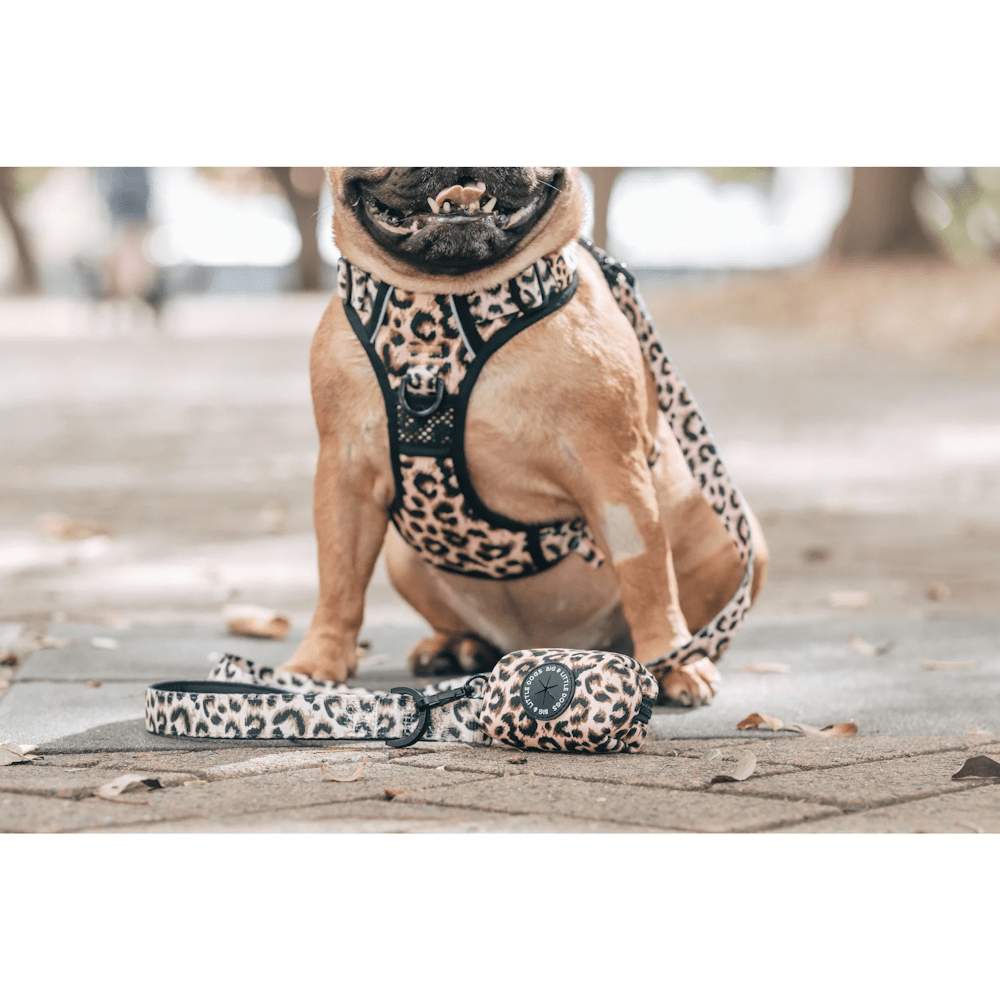 Big & Little Dogs Poop Bag Holder: Luxurious Leopard - Poop Bag Holders from Big & Little Dogs at DoggyTopia