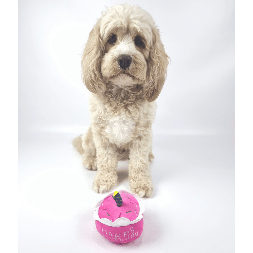 Birthday Cake Dog Toy - Pink - Designer Toys from . at DoggyTopia