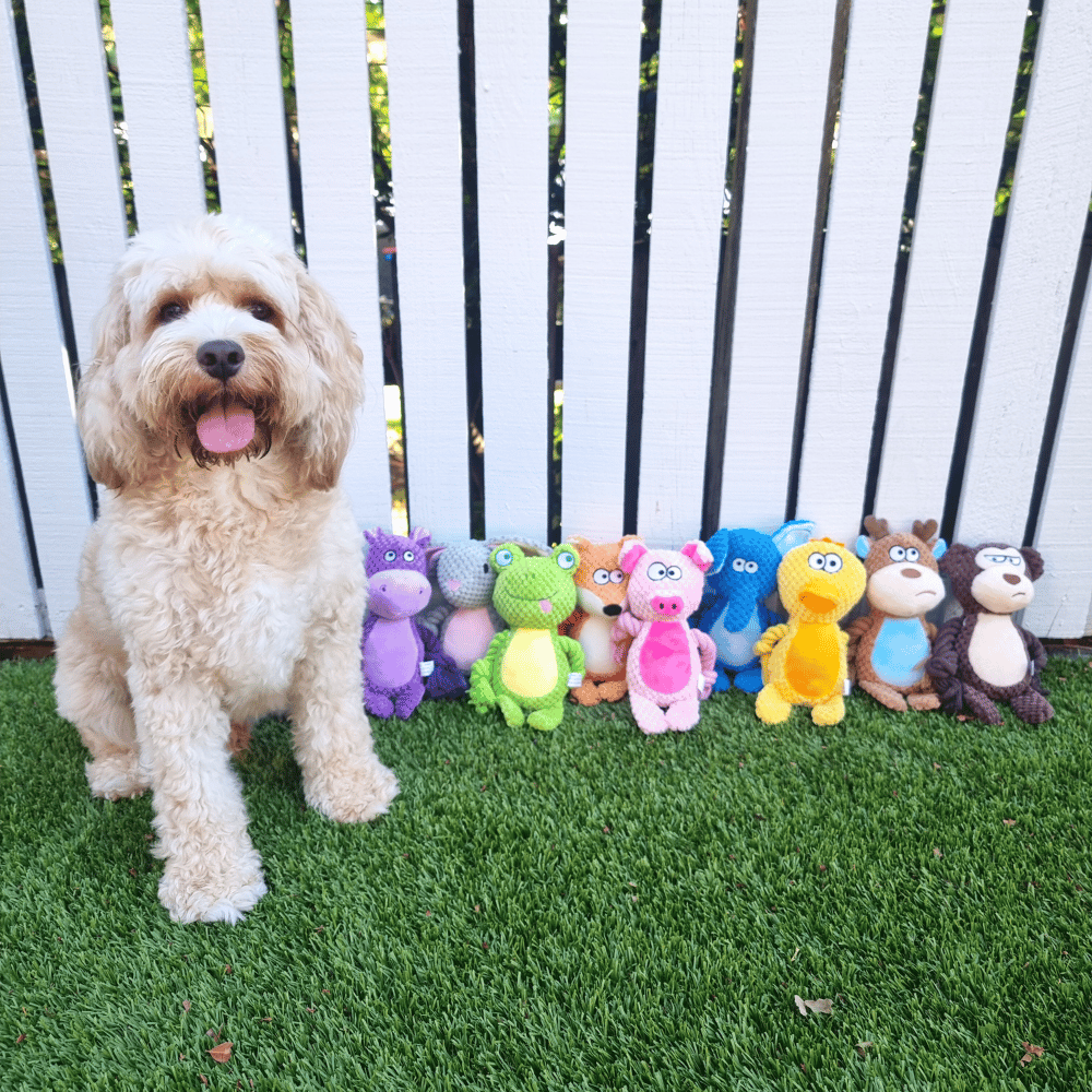 Darren Donkey Rope Corduroy Dog Toy - Plush and Rope Toys from . at DoggyTopia
