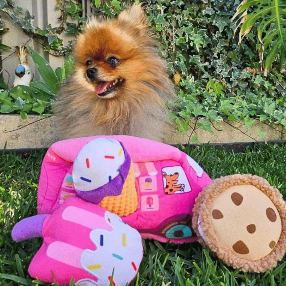Dog Ice Cream Truck Burrow Toy - Interactive Toys from . at DoggyTopia