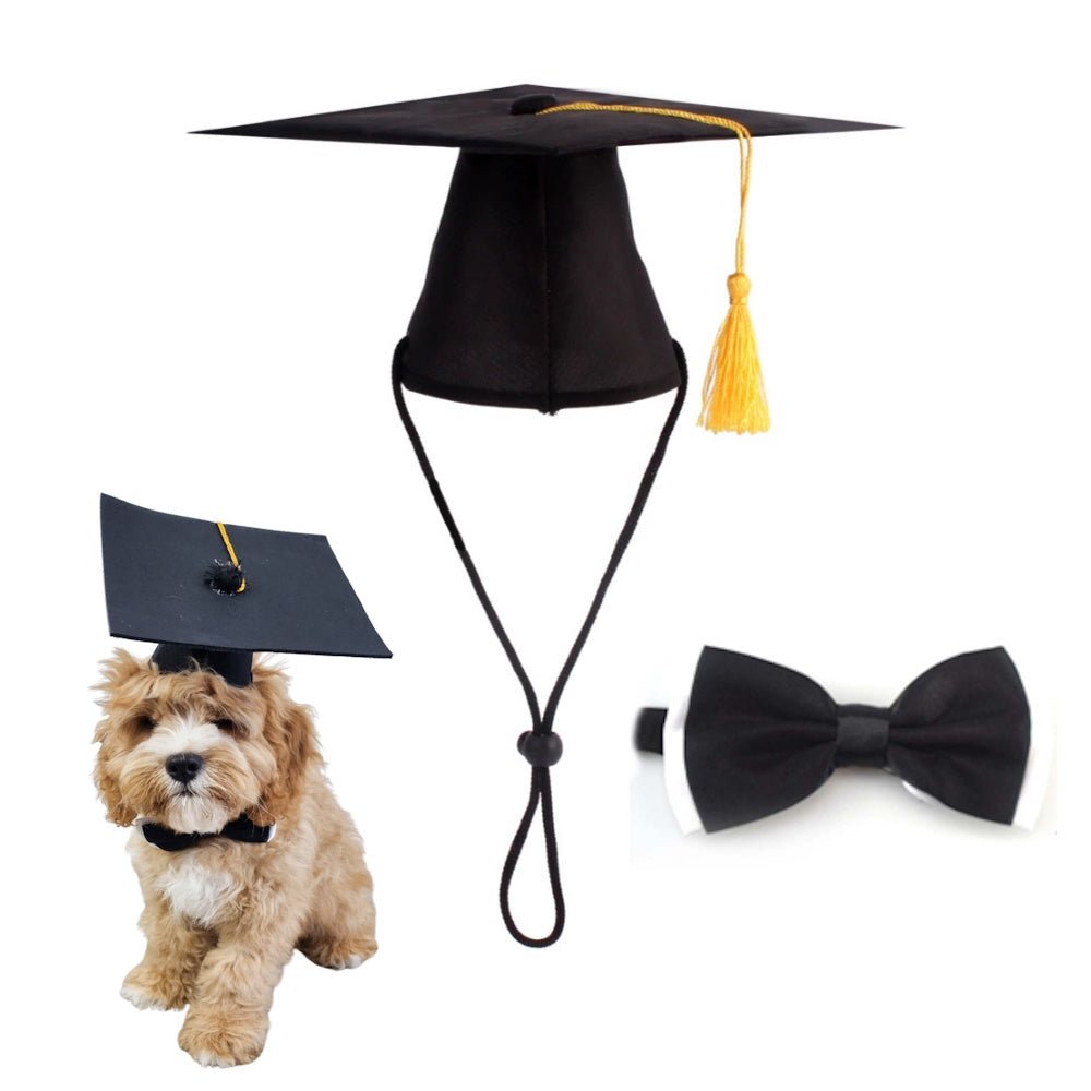 Graduation Hat and Bow Tie - Graduation Hat from . at DoggyTopia