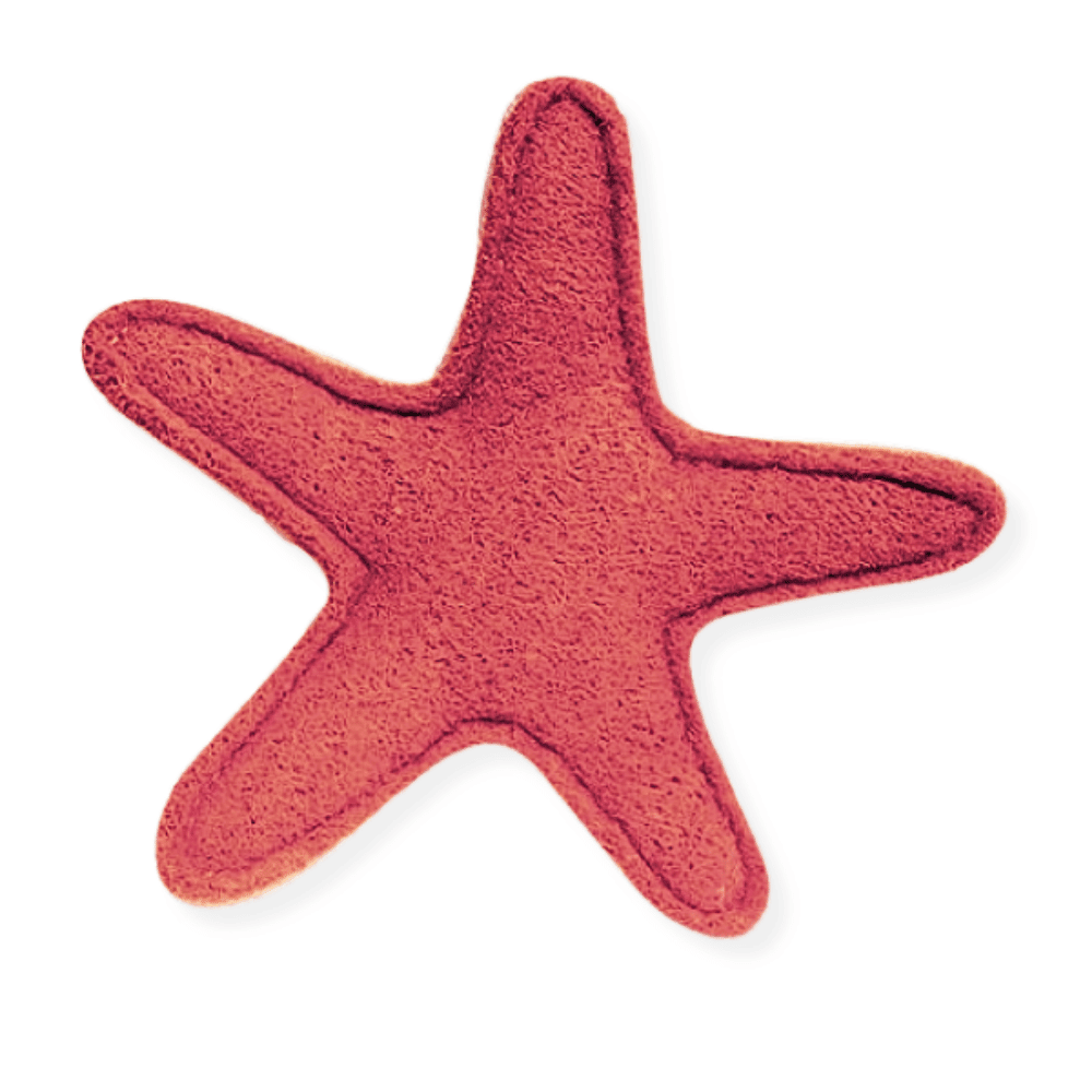 Loofah Starfish Dental Toy - Dental Toys from Sale at DoggyTopia