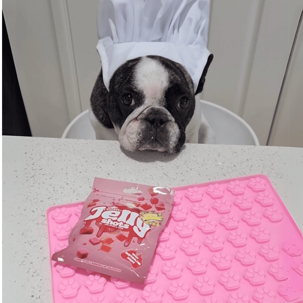 Mini Paws Silicone Mould - Moulds from . at DoggyTopia