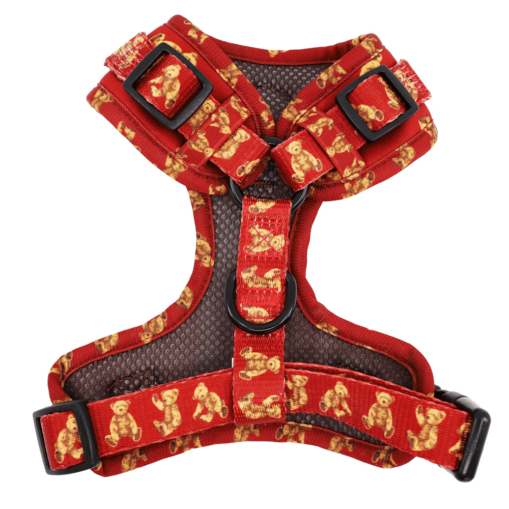 Pablo & Co Henry Bear Adjustable Harness - Adjustable Harnesses from Pablo & Co at DoggyTopia