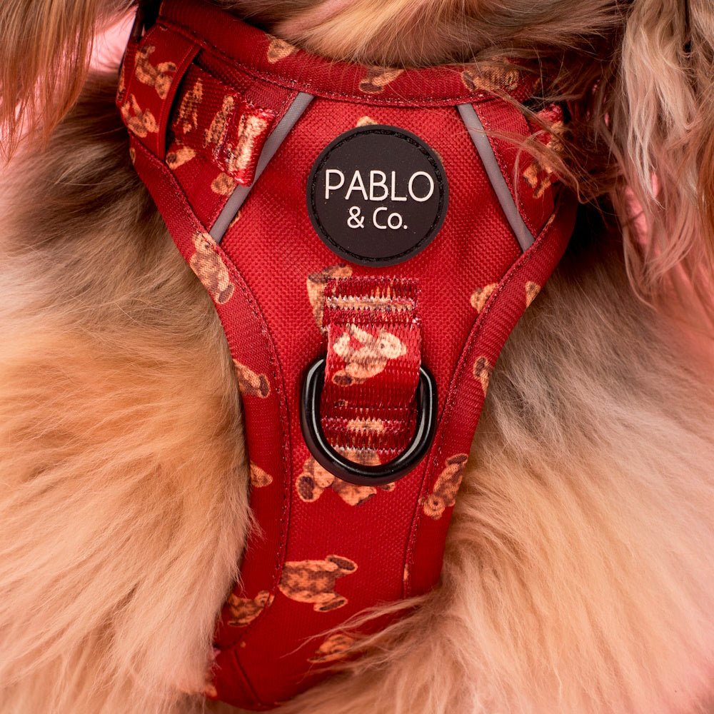 Pablo & Co Henry Bear No Pull Adventure Harness - No Pull Harnesses from Pablo & Co at DoggyTopia