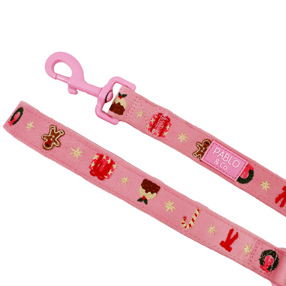 Pablo & Co Merry & Bright Dog Leash - Leashes & Leads from Sale at DoggyTopia