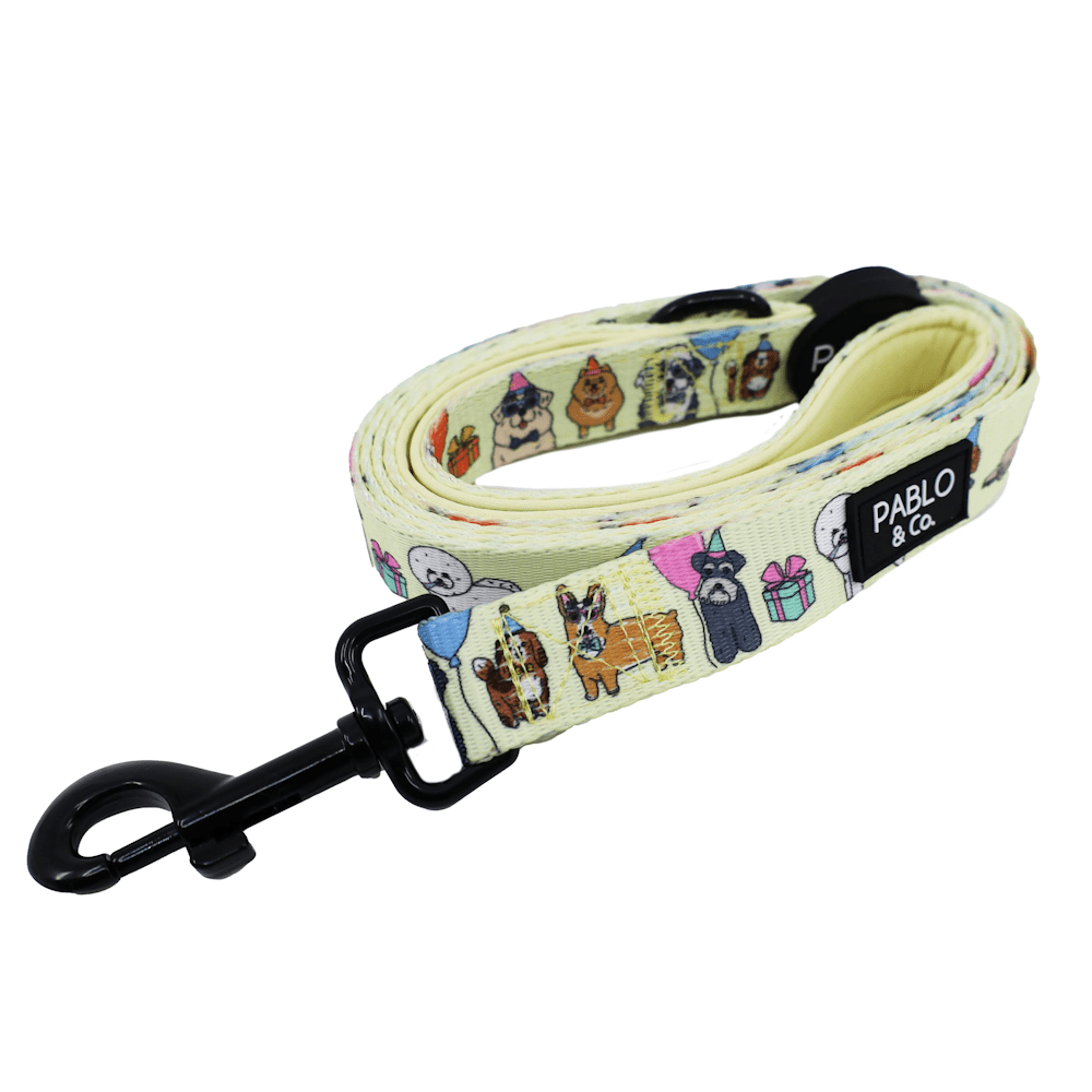 Pablo & Co Party Dawgs Dog Leash - Leashes & Leads from Pablo & Co at DoggyTopia
