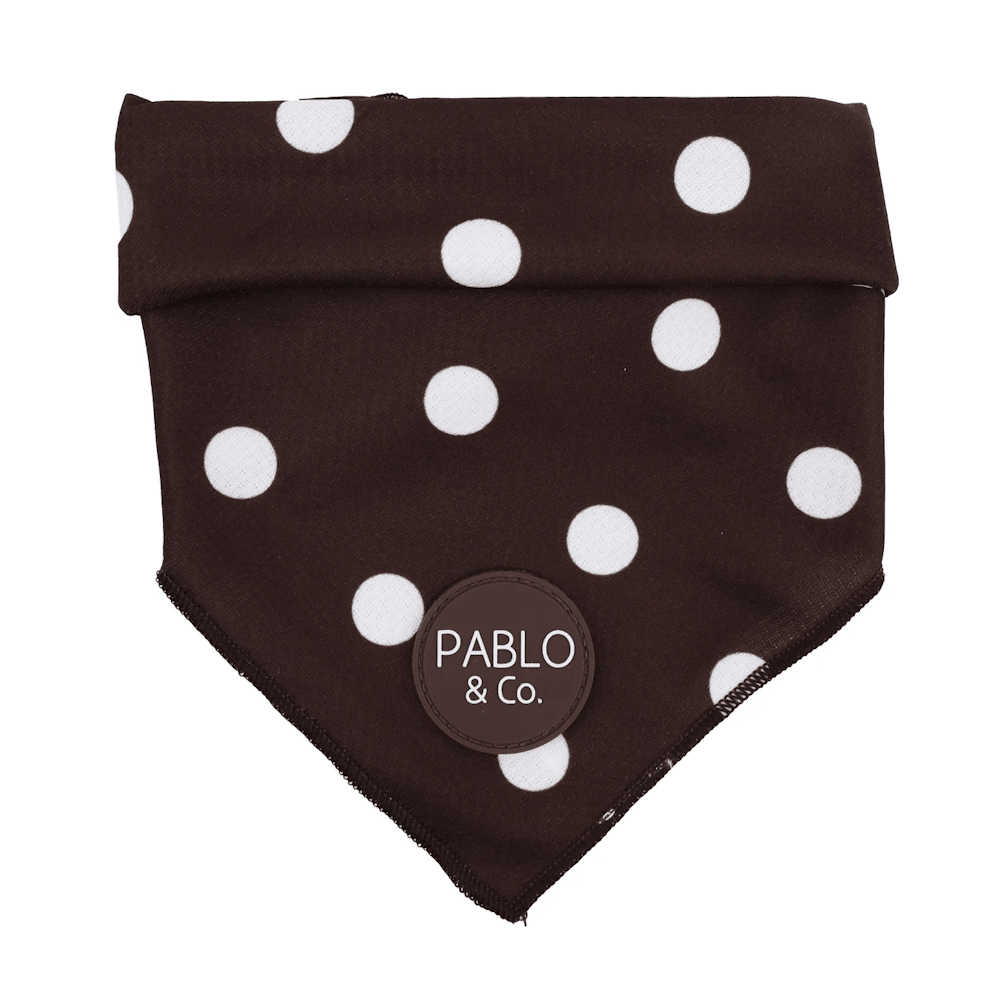 Pablo & Co Polka Dots Bandana - Bandanas from Pablo & Co at DoggyTopia