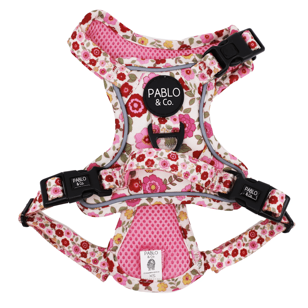 Pablo & Co Primrose No Pull Adventure Harness - No Pull Harnesses from Pablo & Co at DoggyTopia