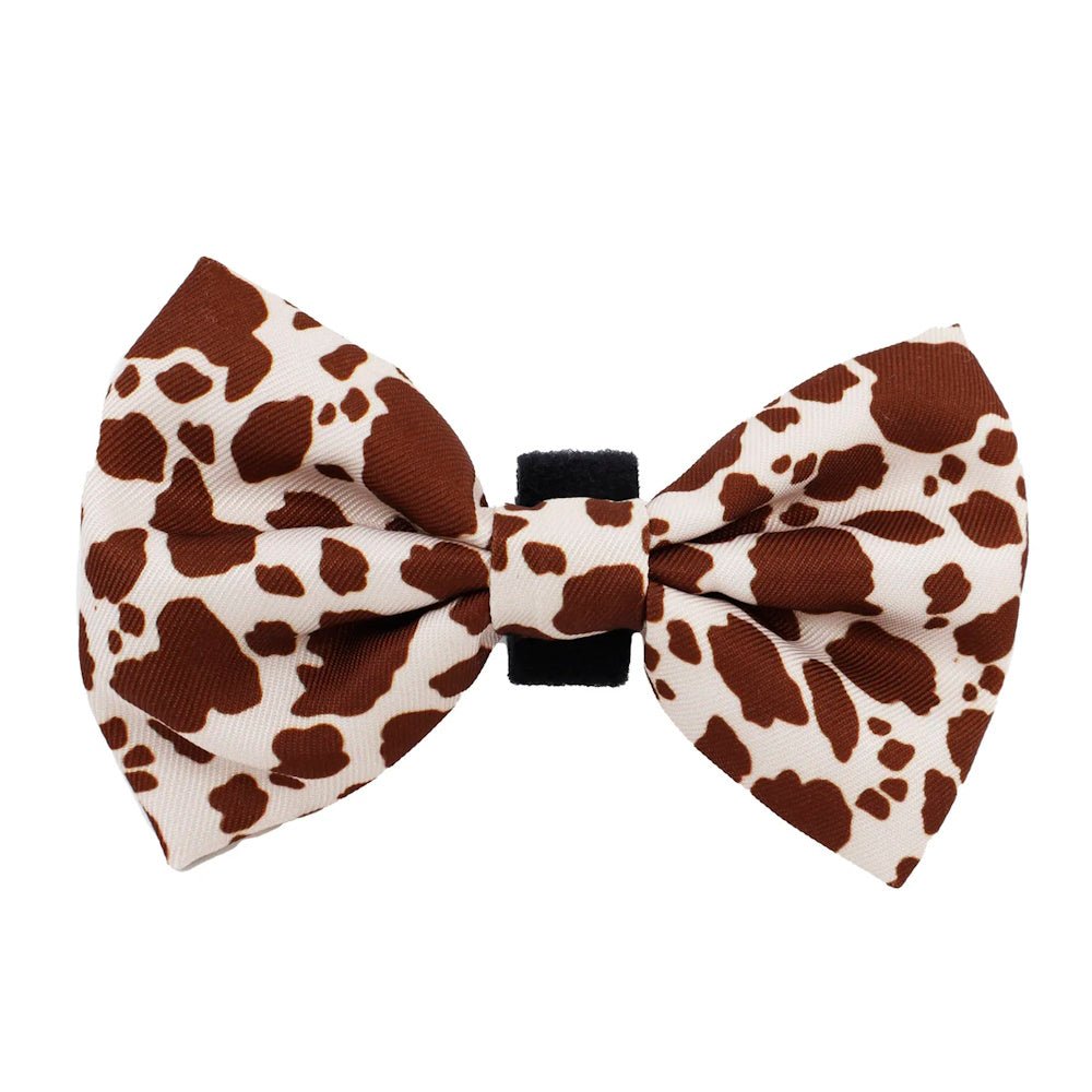 Pablo & Co Rodeo Bow Tie - Bow Ties from Pablo & Co at DoggyTopia