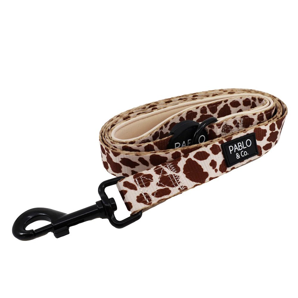Pablo & Co Rodeo Dog Leash - Leashes & Leads from Pablo & Co at DoggyTopia