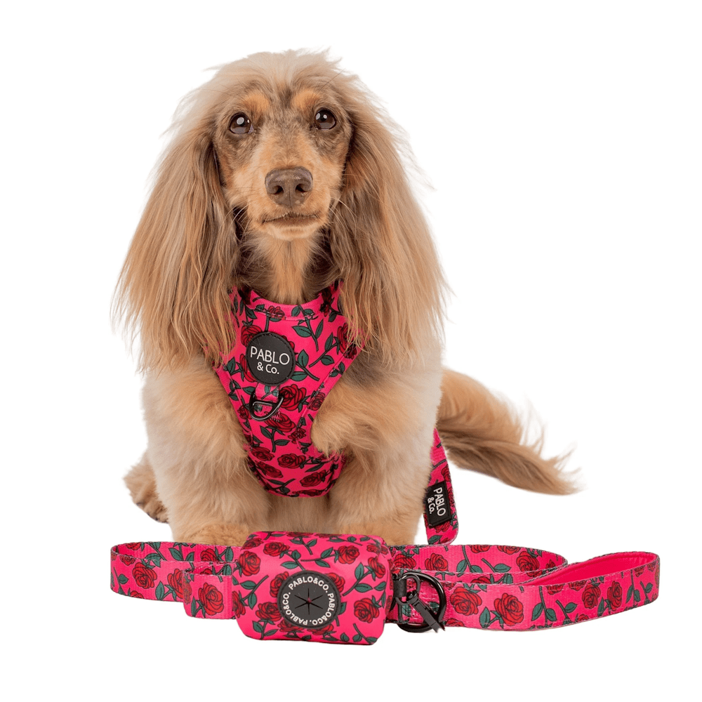 Pablo & Co Rosie Poop Bag Holder - Poop Bag Holders from Sale at DoggyTopia