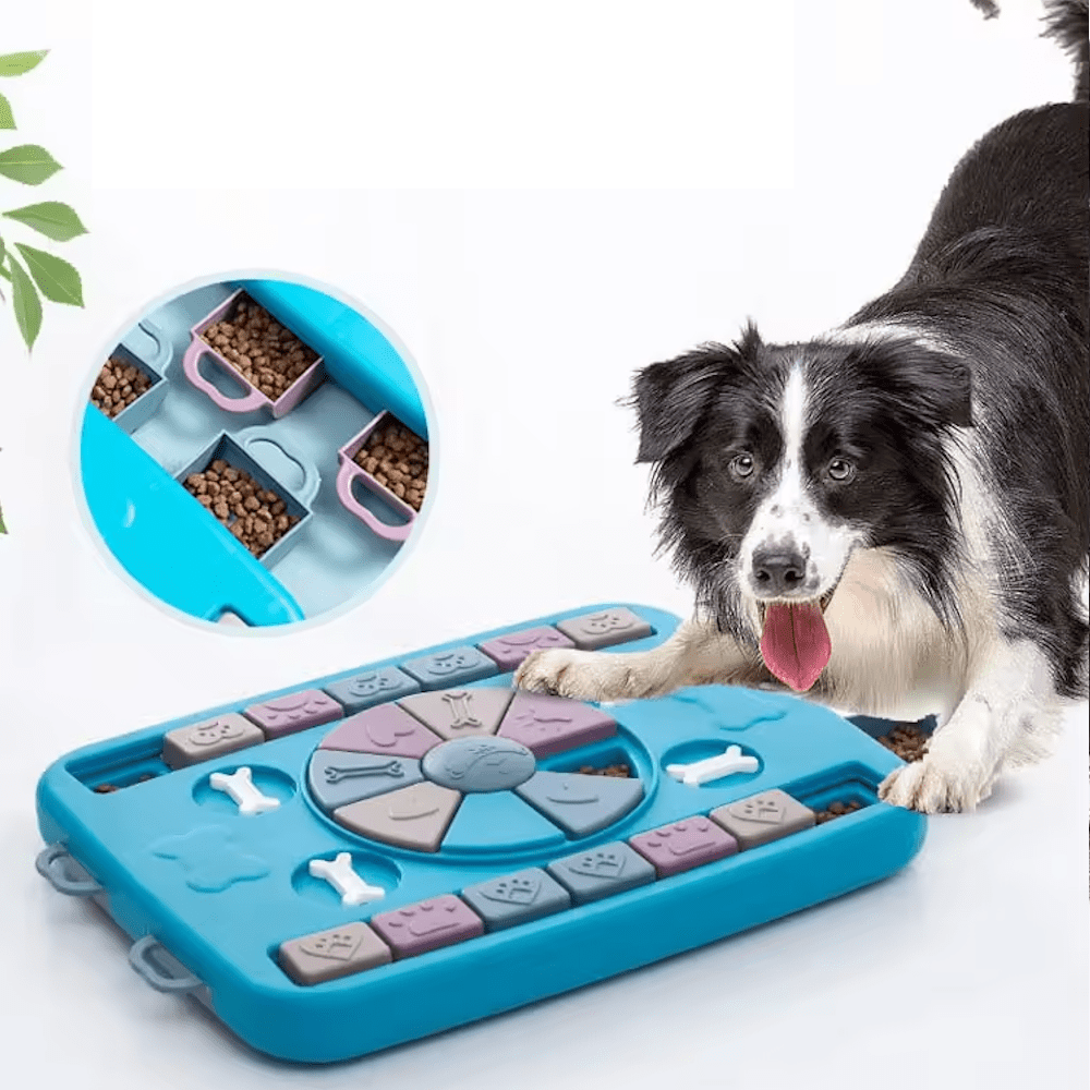 Paws n Bones Dog Treat Puzzle - Puzzles from Sale at DoggyTopia