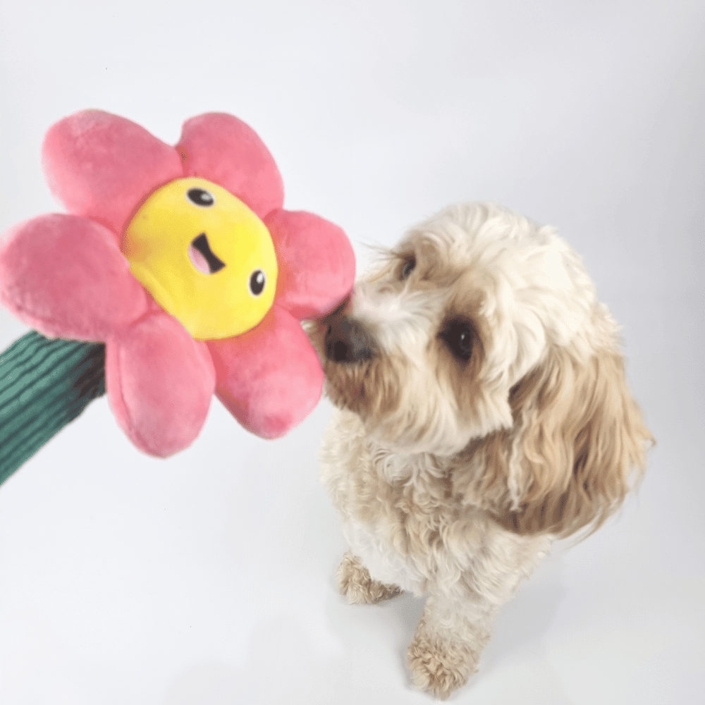 Pink Daisy Flower Dog Toy - Plush Toys from . at DoggyTopia