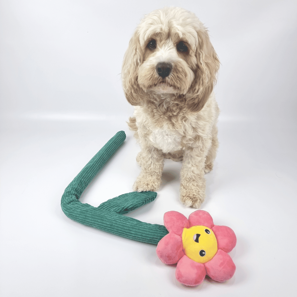 Pink Daisy Flower Dog Toy - Plush Toys from . at DoggyTopia