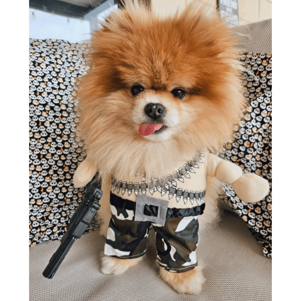 Rambo Dog Costume - Costumes from Sale at DoggyTopia