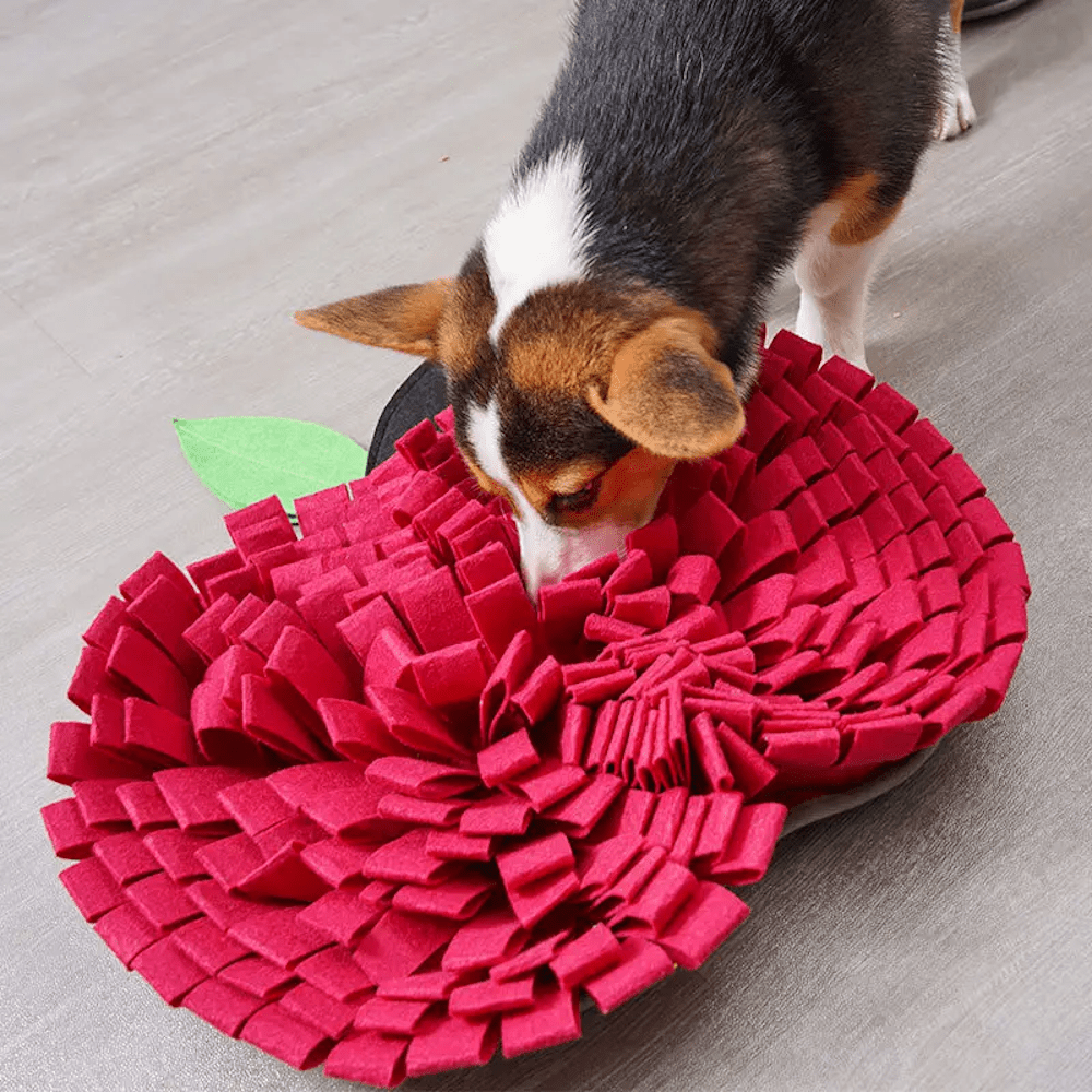 Red Apple Snuffle Mat - Snuffle Mats from . at DoggyTopia