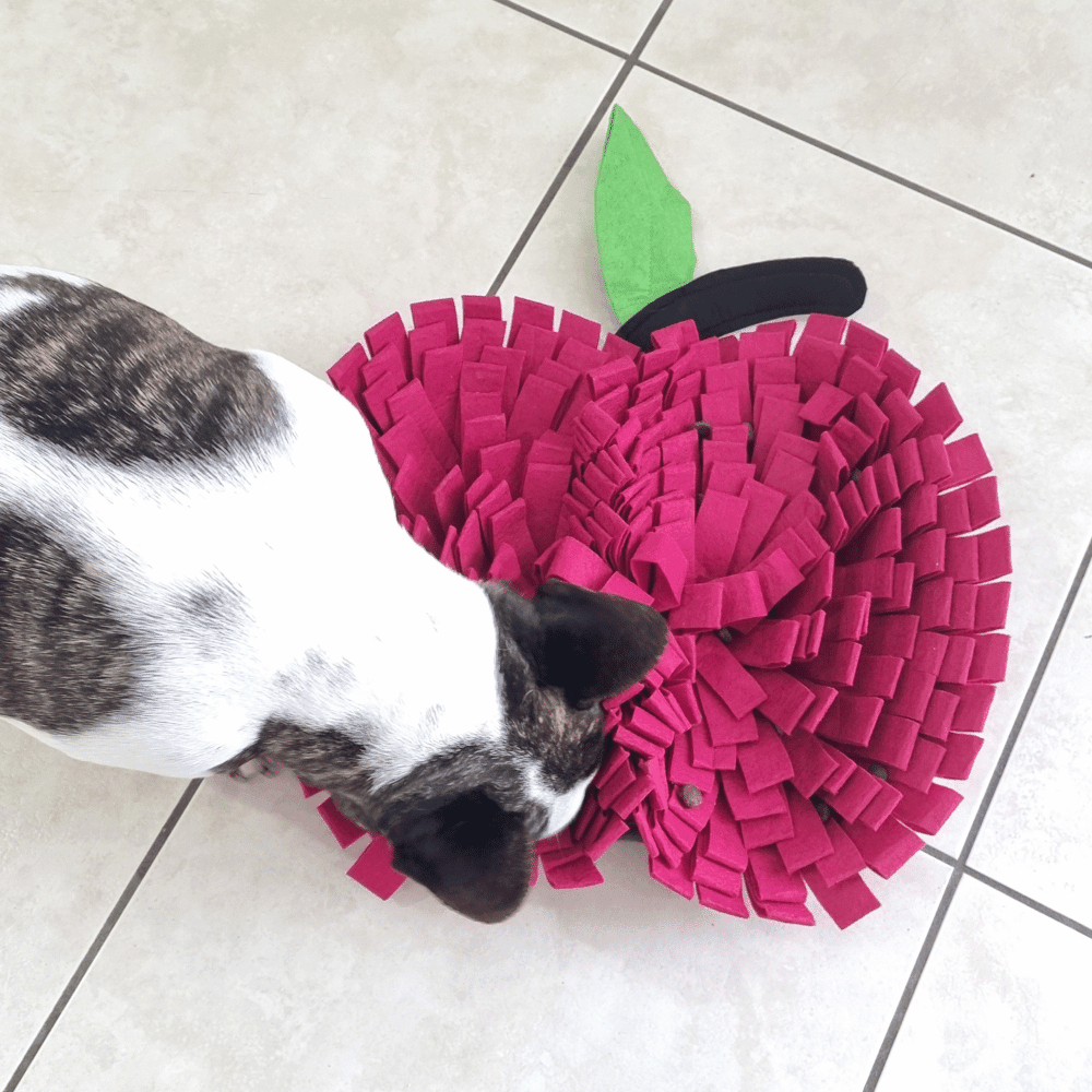 Red Apple Snuffle Mat - Snuffle Mats from . at DoggyTopia