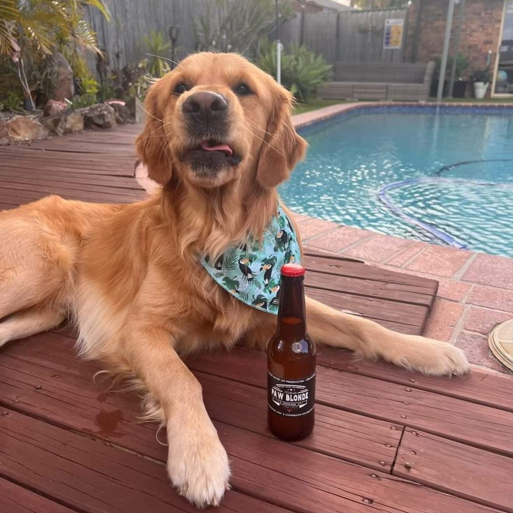 DoggyTopia