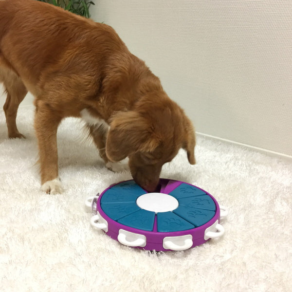 DoggyTopia