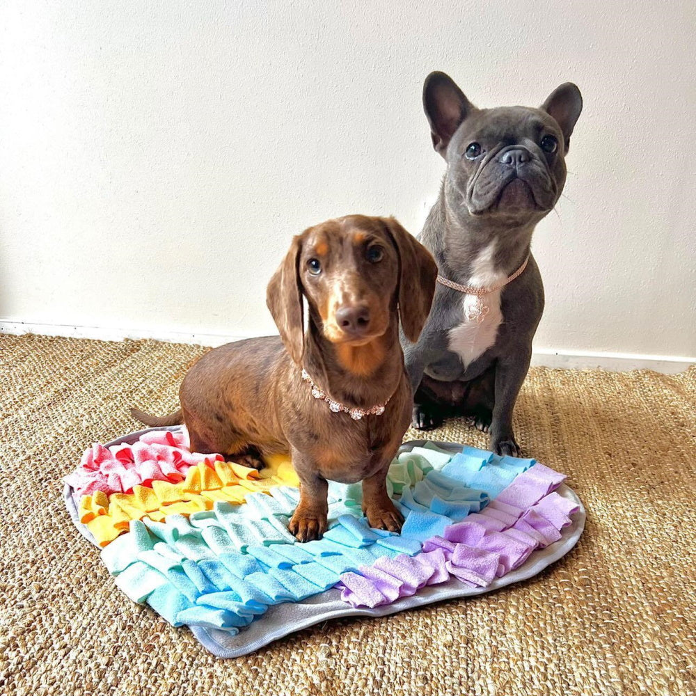 DoggyTopiaDoggyTopia