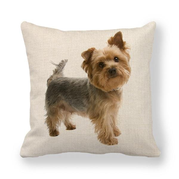 Blue & Gold Yorkshire Terrier Throw Cushion - Cushions from Sale at DoggyTopia
