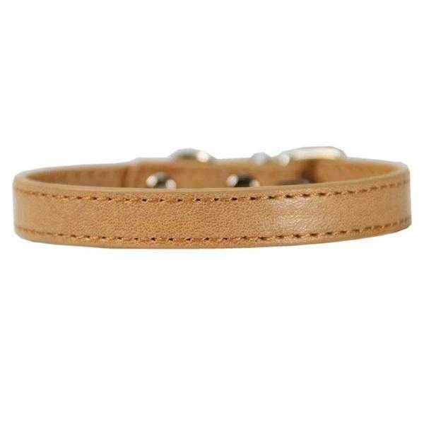 Dog Collar Buckle StyleDoggyTopia