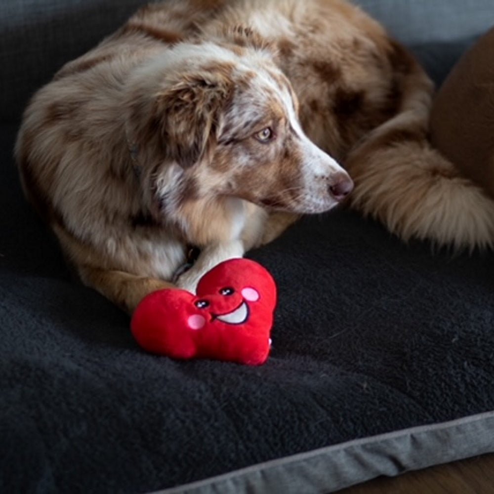 DoggyTopia Poker Club - Heart Dog Toy - Plush Toys from Sale at DoggyTopia