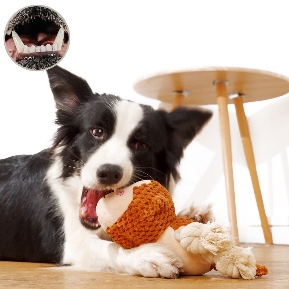 Marley Monkey Rope Squeaker Toy - Plush and Rope Toys from . at DoggyTopia