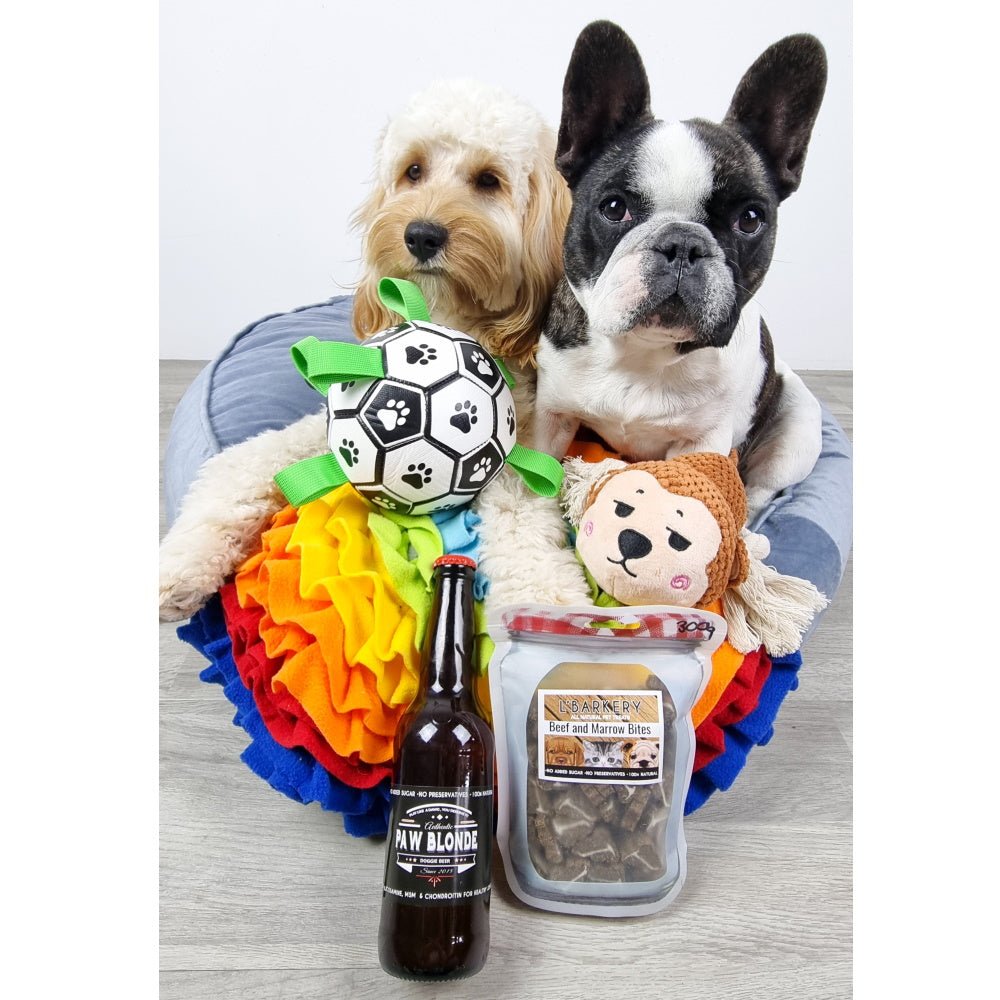 Marley Monkey Rope Squeaker Toy - Plush and Rope Toys from . at DoggyTopia