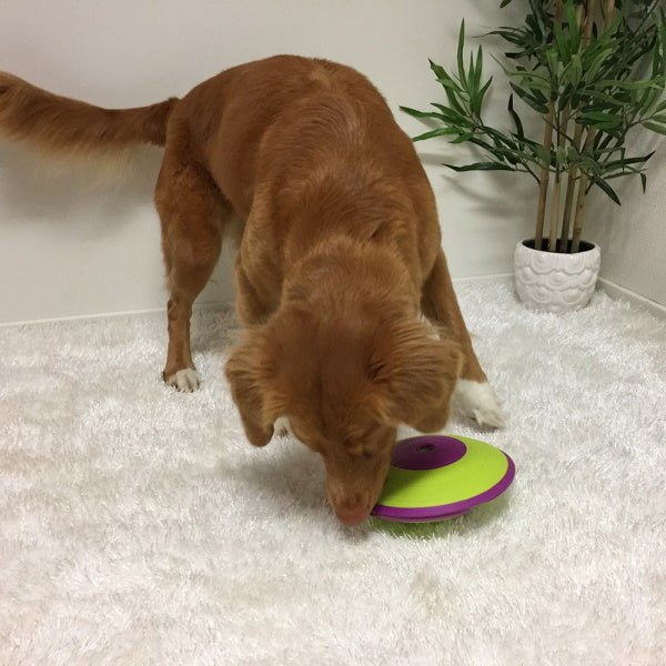 Nina Ottosson - Treat Maze - Puzzles from Nina Ottosson at DoggyTopia