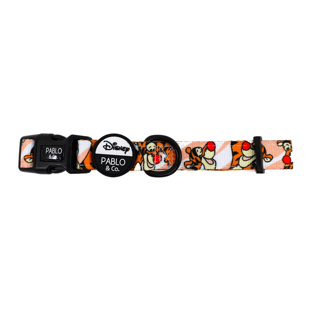 Pablo & Co One of a Kind Tigger: Dog Collar - Collars from Pablo & Co Disney at DoggyTopia