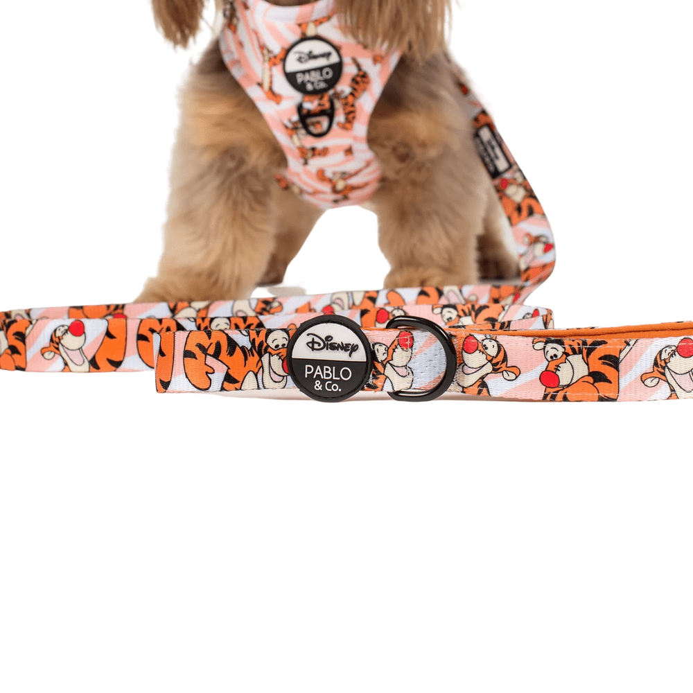 Pablo & Co One of a Kind Tigger: Dog Leash - Leashes & Leads from Pablo & Co Disney at DoggyTopia