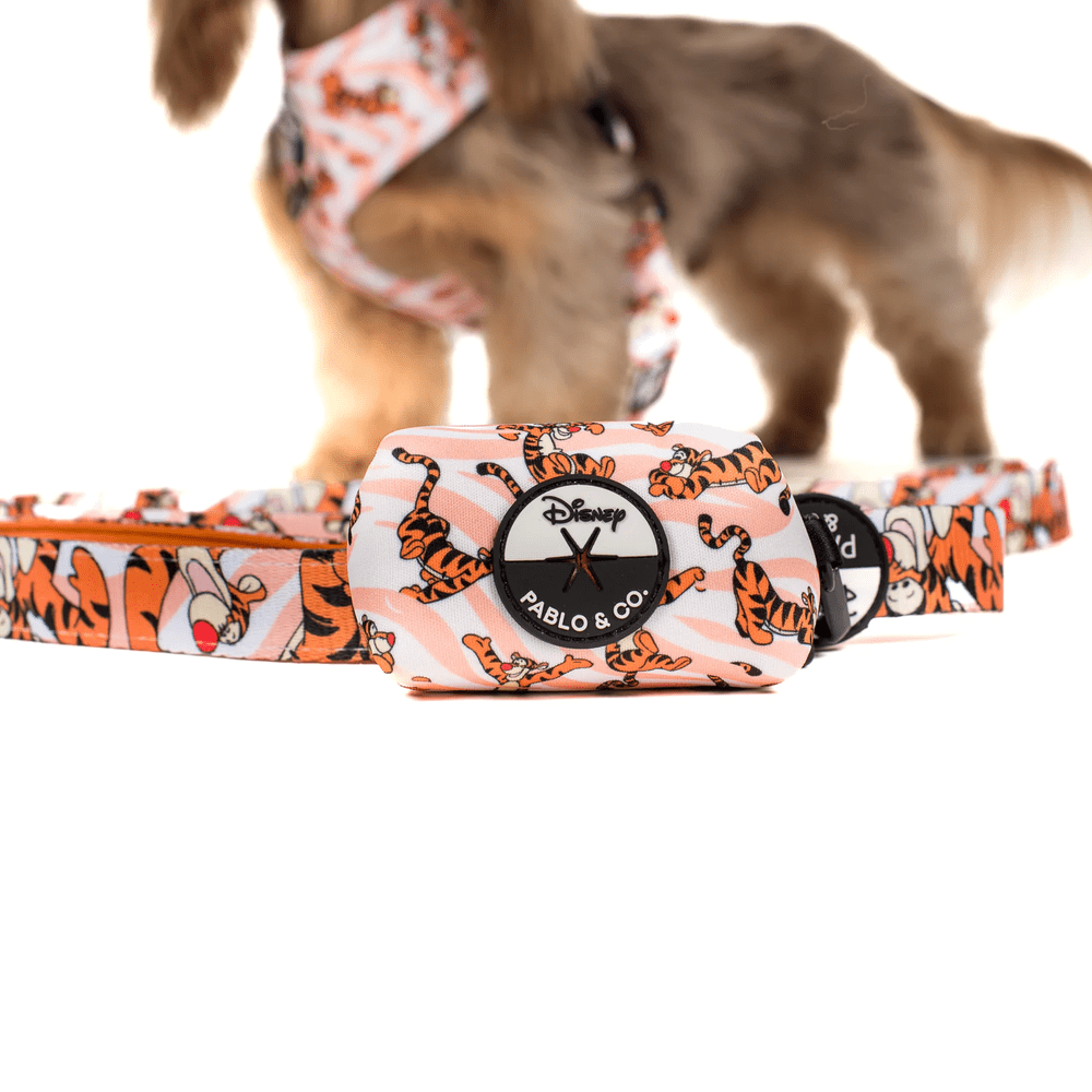 Pablo & Co One of a Kind Tigger: Poop Bag Holder - Poop Bag Holders from Pablo & Co Disney at DoggyTopia