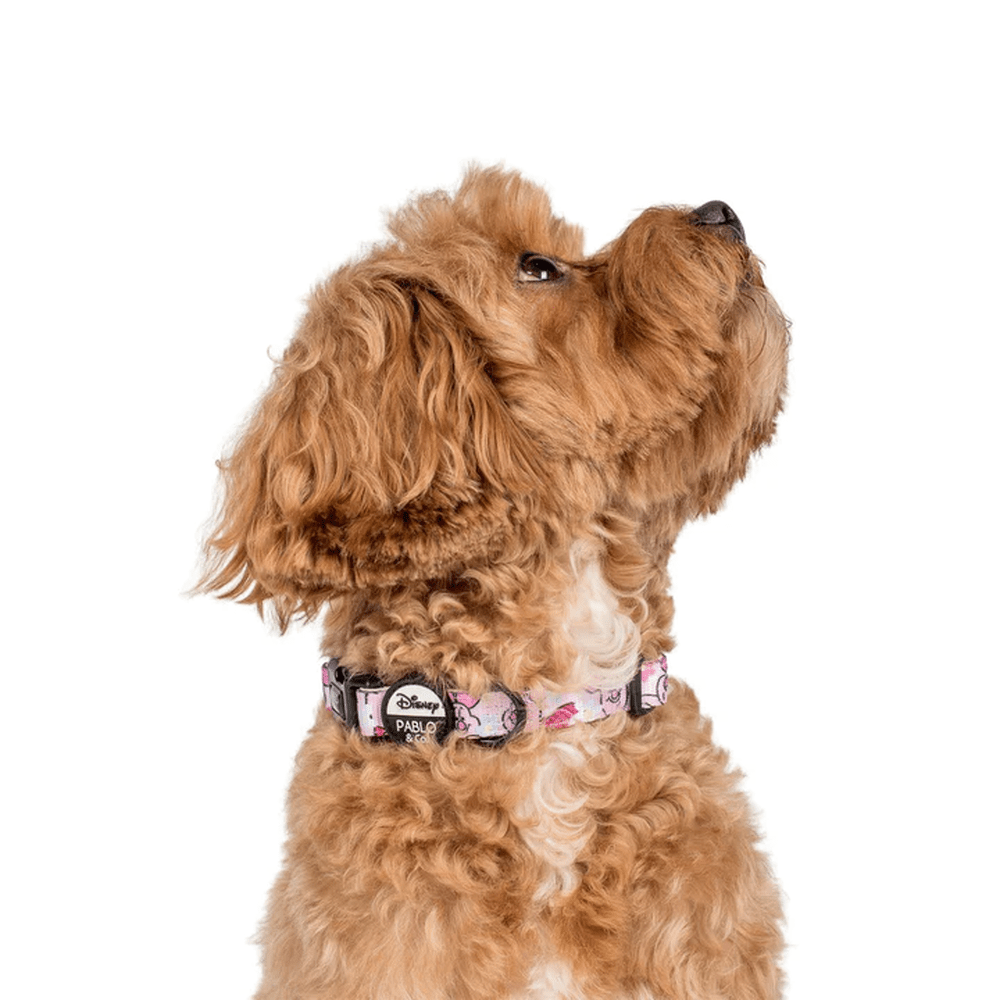 Pablo & Co Piglet: Dog Collar - Collars from Pablo & Co Disney at DoggyTopia
