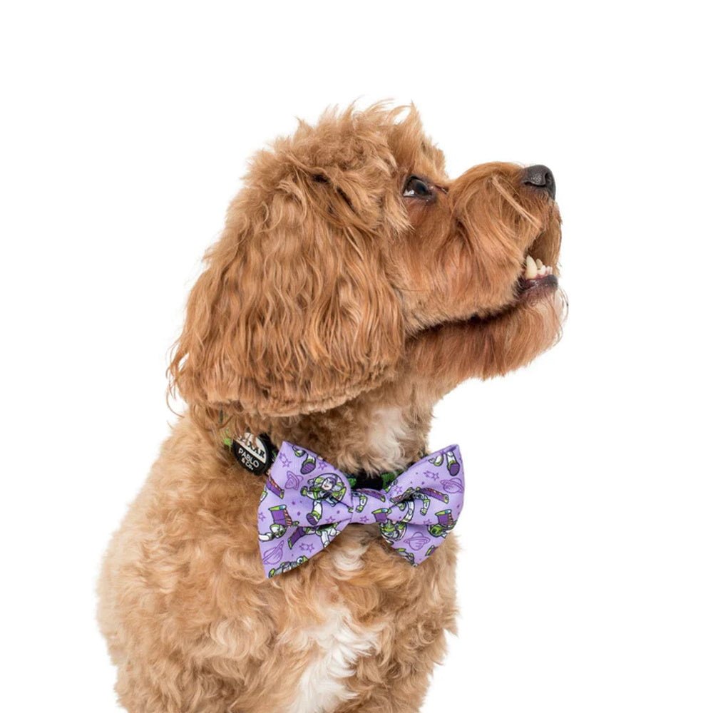 Pablo & Co Toy Story - Buzz Lightyear: Bow Tie - Bow Ties from Pablo & Co Disney at DoggyTopia
