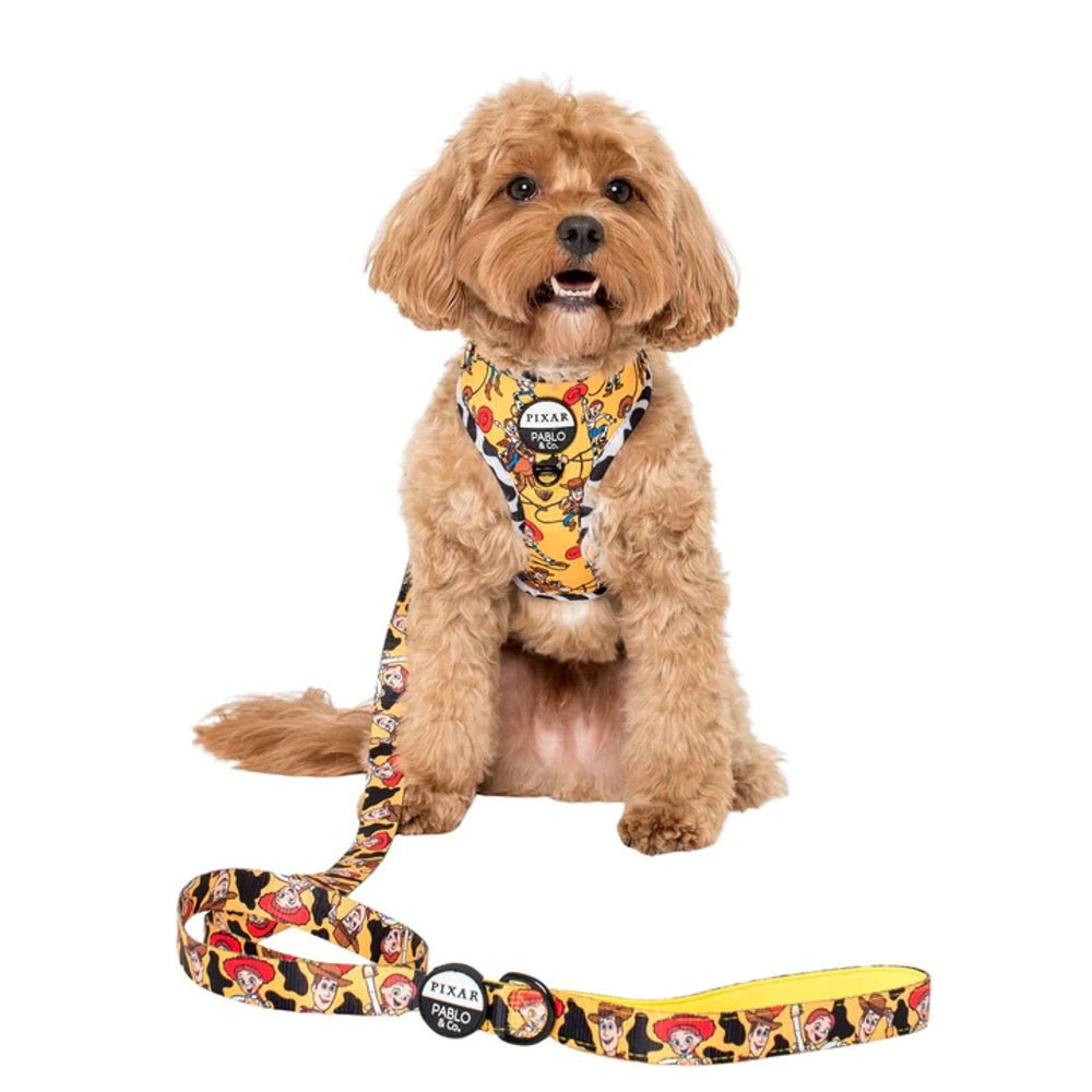 Pablo & Co Toy Story - Woody's Roundup: Dog Leash - Leashes & Leads from Pablo & Co Disney at DoggyTopia