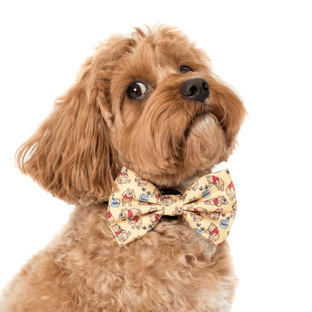 Pablo & Co Winnie the Pooh & Bee's: Bow Tie - Bow Ties from Pablo & Co Disney at DoggyTopia