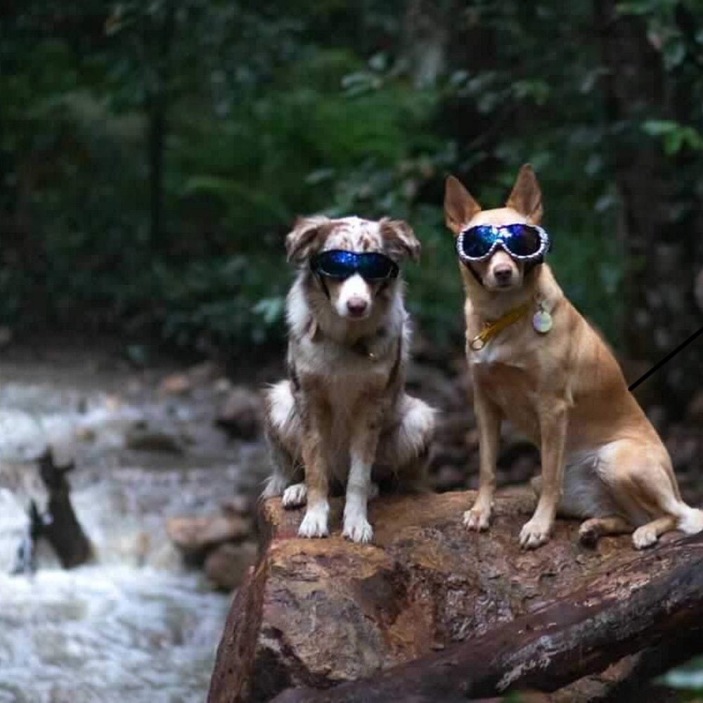 Razor Dog Goggles - Dog Goggles from . at DoggyTopia