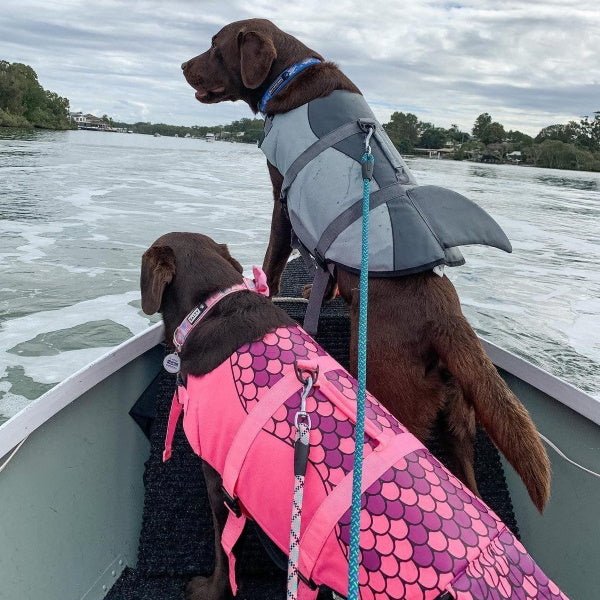 Shark Dog Life Jacket - Life Jackets from . at DoggyTopia